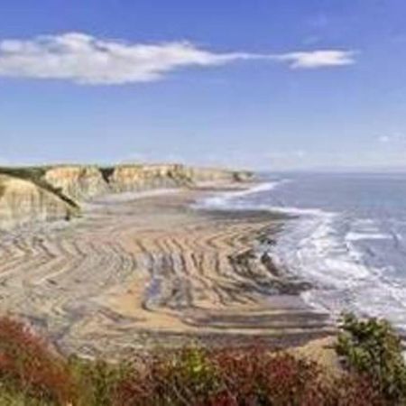 1-Bed Cottage On Coastal Pathway In South Wales Gileston 外观 照片