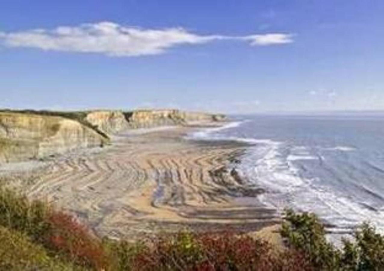 1-Bed Cottage On Coastal Pathway In South Wales Gileston 外观 照片